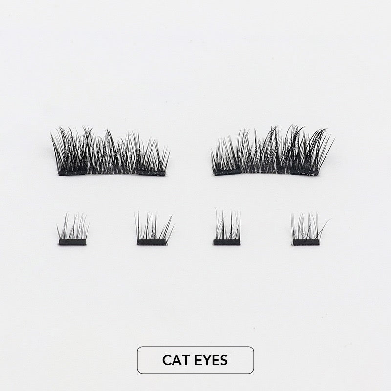 CILS MAGNÉTIQUE